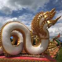 มาสุพรรณบุรี ห้ามพลาด