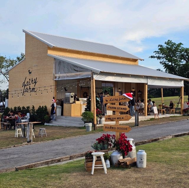 After You Dairy Farm เขาใหญ่