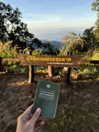 เช้าฤดูหนาวที่ดอยขุนตาล | จ.ลำพูน ⛰️🌿💫🏕️
