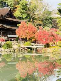 虎溪山永保寺-日式庭園寺廟配搭絕美紅葉，讓人看得如痴如醉