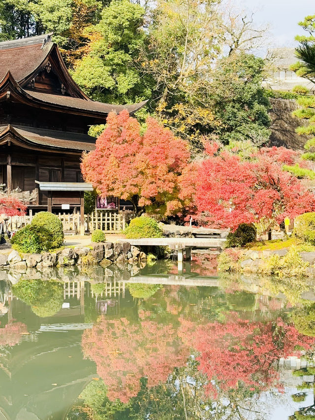 虎溪山永保寺-日式庭園寺廟配搭絕美紅葉，讓人看得如痴如醉