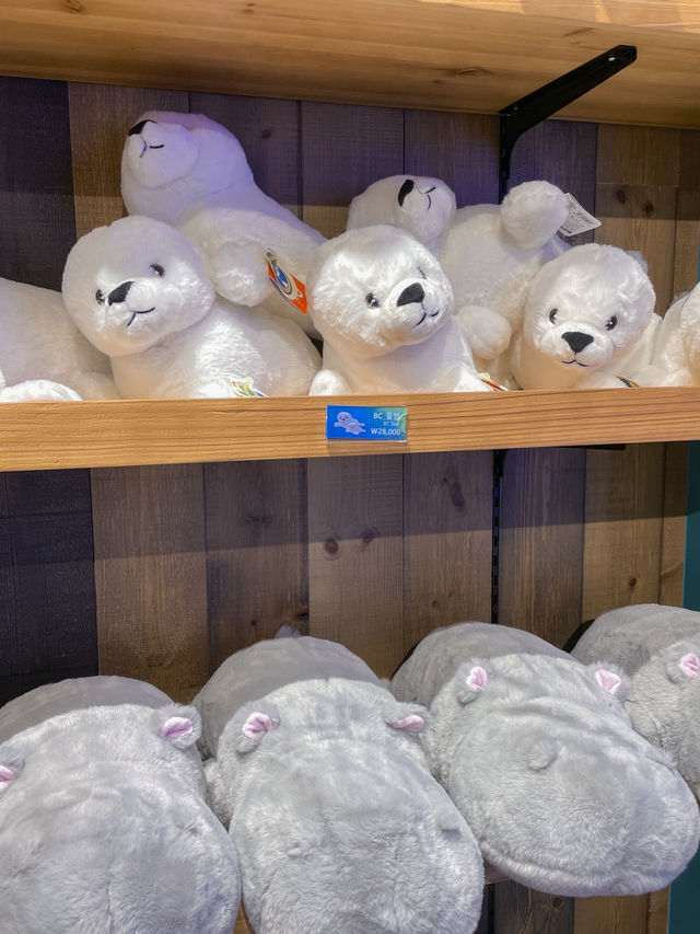 부산 겨울 실내데이트는 아쿠아리움에서 🐠