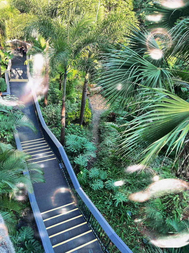 廣州景點📸 雲蘿植物園
