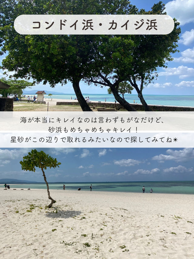 【竹富島】絶対行きたい竹富島のおすすめSPOT5選 【竹富島】絶対行きたい竹富島のおすすめSPOT5選