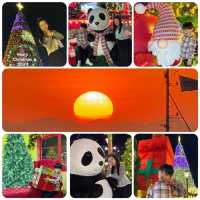 🇭🇰香港最靓巨型聖誕樹🎄熊貓🐼打卡位🥰你仲唔快d去打卡