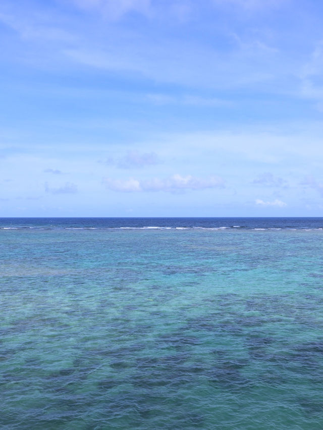 【沖縄🇯🇵】崖の上から眺める青い海