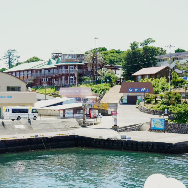 【静岡県】熱海港から約30分で行ける初島が最高すぎた