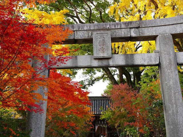 《探索神聖與寧靜之地——鳥飼八幡宮的神秘與美麗》