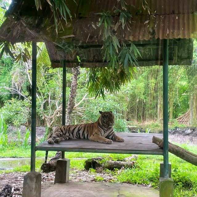 Bali Safari & Marine Park