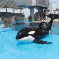 名古屋旅遊～名古屋水族館
