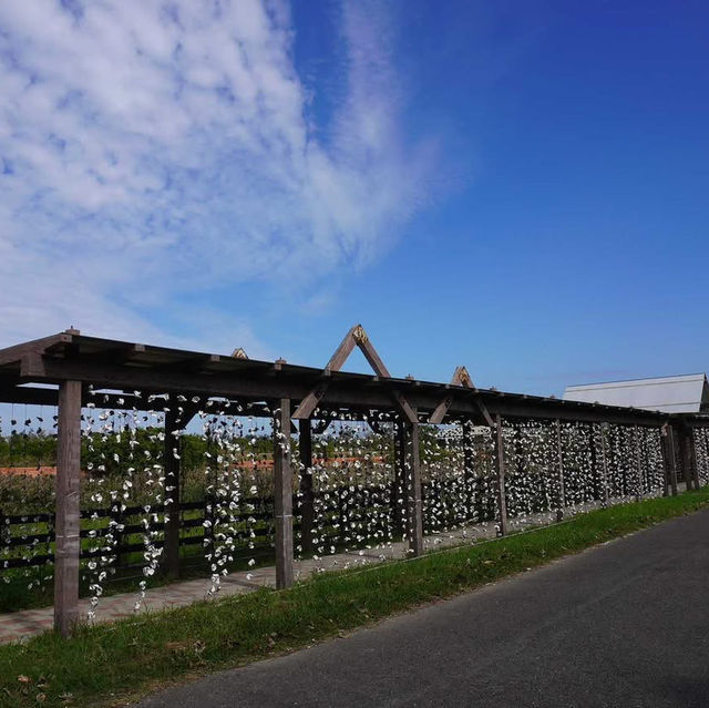 鰲鼓濕地生態展示館 