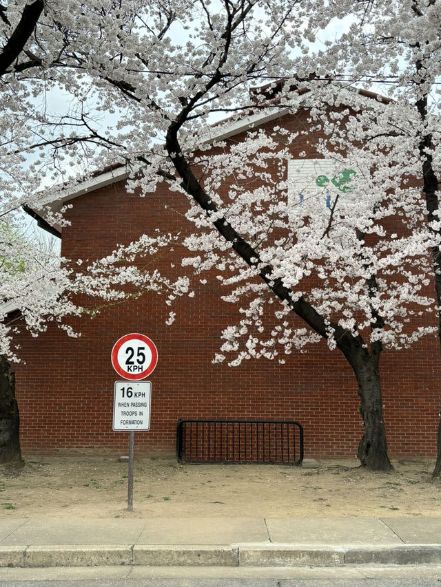 용산공원