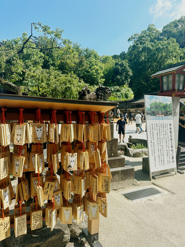 후쿠오카 여행의 필수코스 ‘다자이후 텐만구’ 🙏🍃