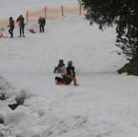สนุกสุดสุดกันที่ Titlis 