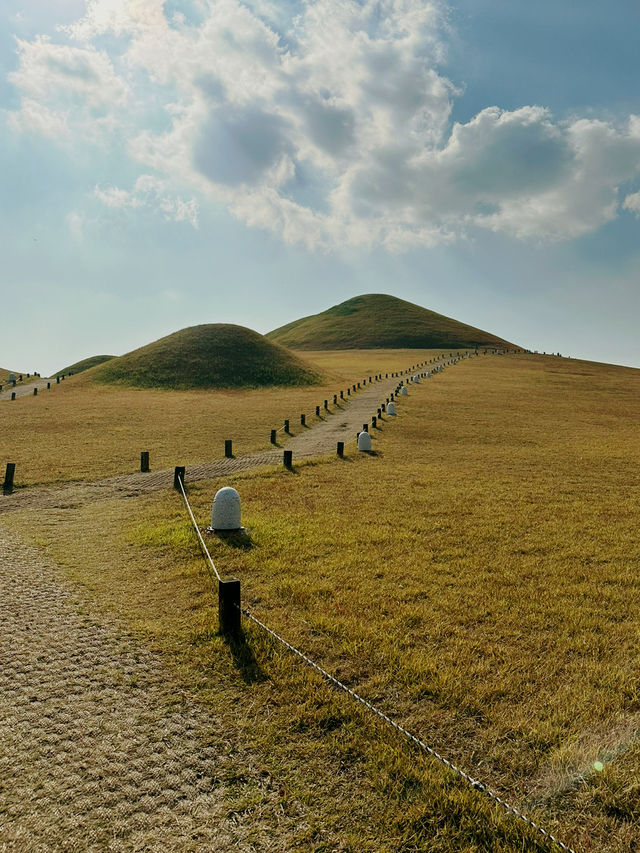 가야의 숨결이 숨쉬는 ‘고성 송학동 고분군’ 🍃
