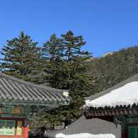겨울여행지 추천! 설산이 멋진 설악산케이블카 여행🏔️