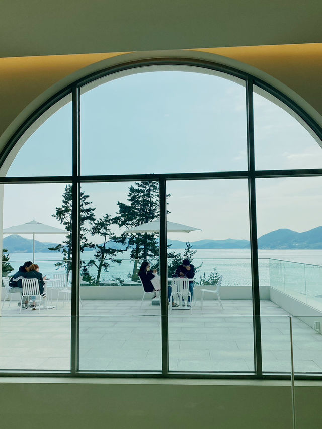 넓은 잔디밭에서 피크닉을, 카페 오송웨이브 🌊💕
