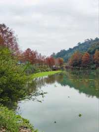 下一站幸福 望龍埤~宜蘭人的後花園