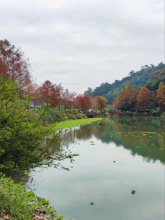 下一站幸福 望龍埤~宜蘭人的後花園