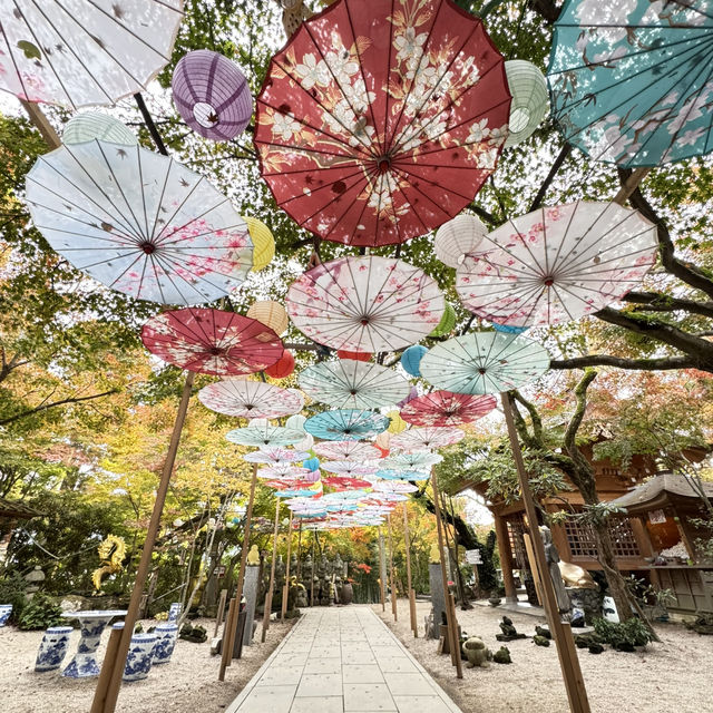 如意輪寺(青蛙寺)比太宰府更值得去的景點