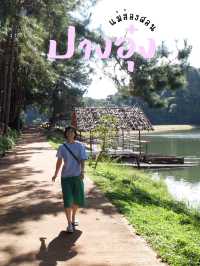 ปางอุ๋ง สายน้ำ ต้นสน กับธรรมชาติรอบๆตัวเรา