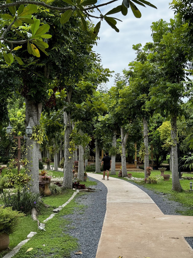 A Bamboo Haven in the Heart of Pak Chong