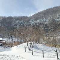 Nishinokawara Park