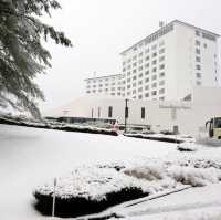 Daisen Royal Hotel แนะนำที่พัก