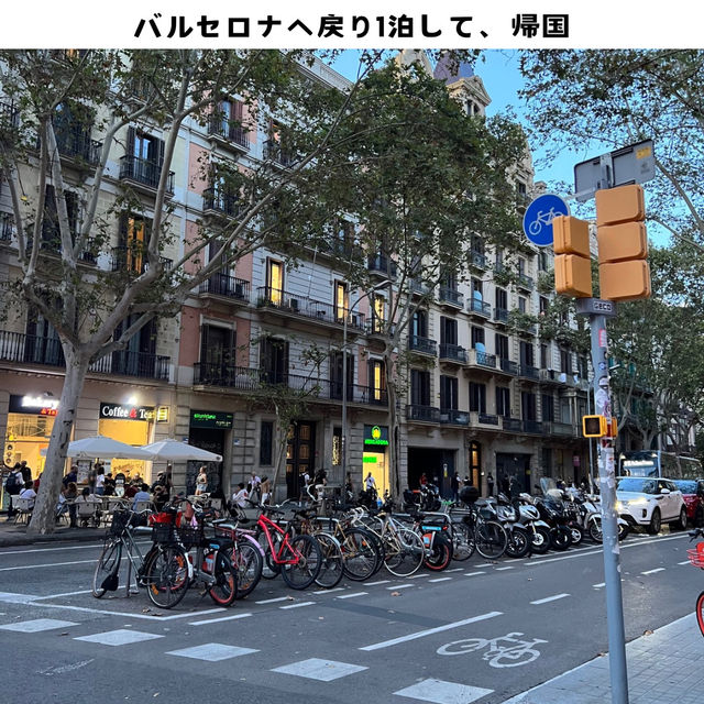 【スペイン】大満喫✨7泊8日の旅✈️