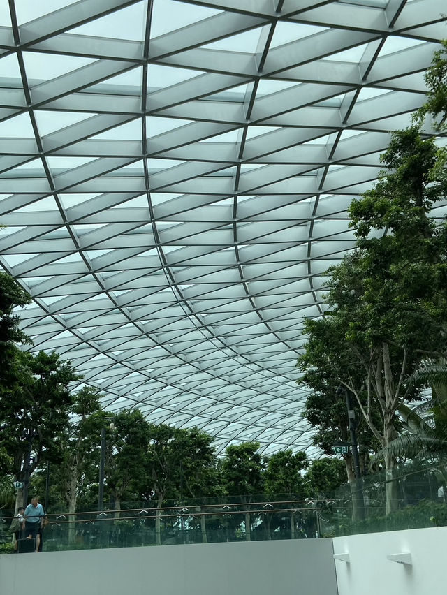 Jewel Changi: Where Travel Meets Magic