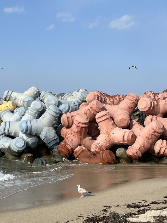 알록달록 방파제 강릉 사근진해변