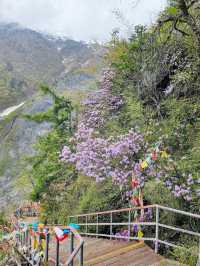 Mingyong Glacier 