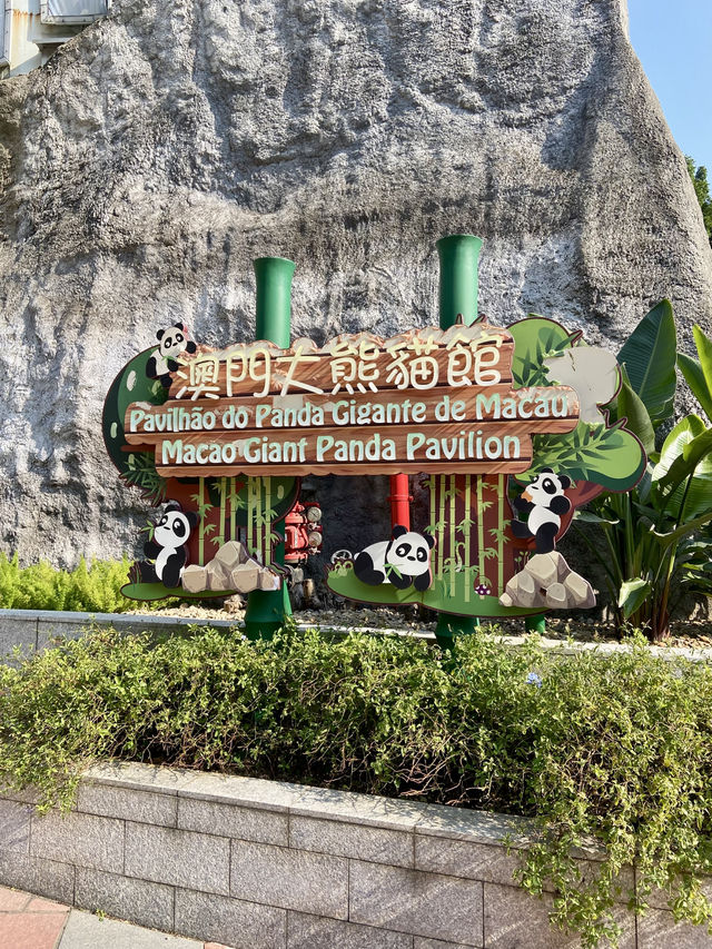 🐼😍澳門大熊貓館｜澳門親子行程景點推薦🧑‍🧑‍🧒‍🧒🧍‍♂️🧍‍♀️
