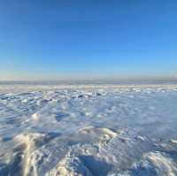 Frozen Sea 