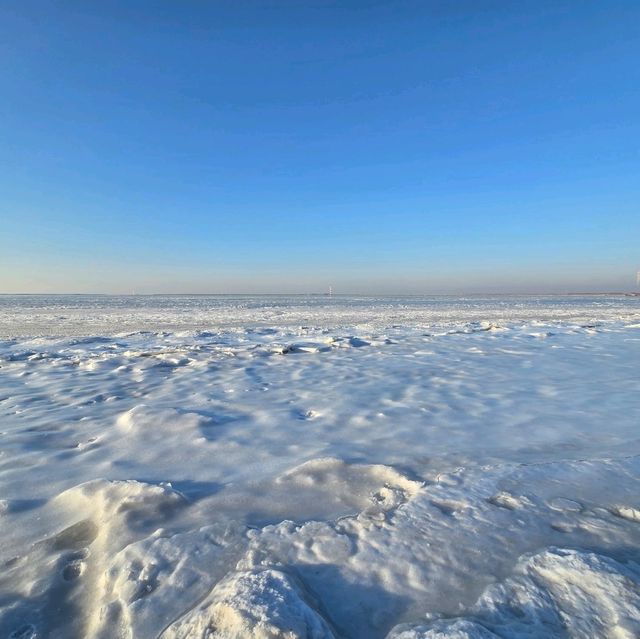 Frozen Sea 