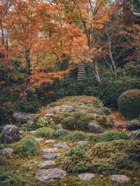  🍁 秋の源光庵で心に響くひとときを 🍂