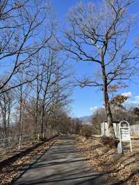 【小諸市🇯🇵】大型遊具で1日遊べる！とにかく広い大型公園🏞