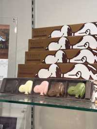 Cuteness Snoopy Chocolat in Arashiyama, Kyoto