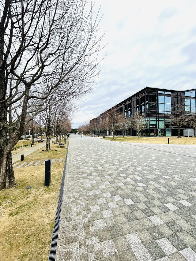 岐阜に来たらここ！スタバのある日本一美しい図書館