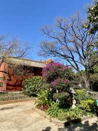 ❤️🌳綠樹紅牆琉璃瓦的雲南昆明「圓通寺」😀🪷