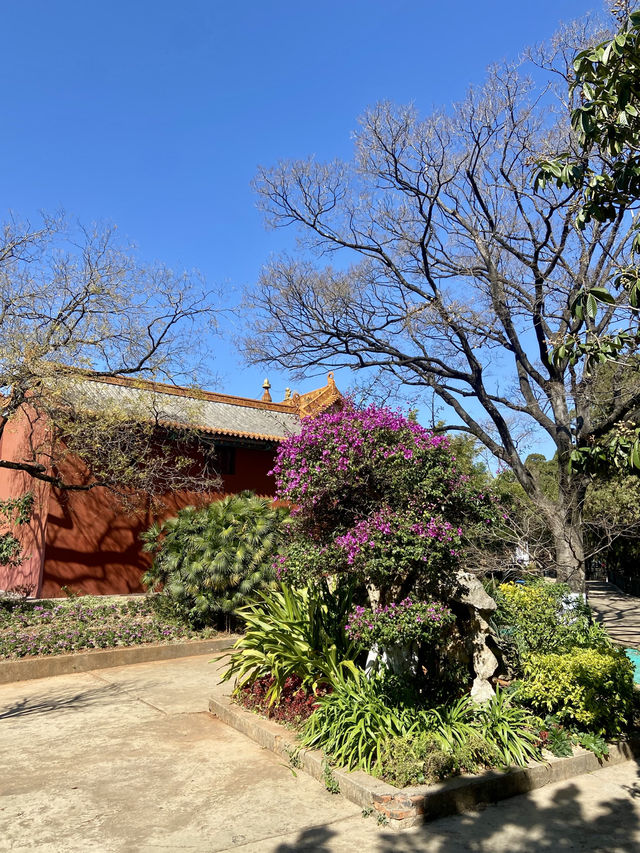 ❤️🌳綠樹紅牆琉璃瓦的雲南昆明「圓通寺」😀🪷