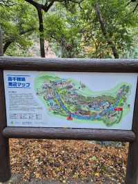 The Beautiful Takachigo Gorge