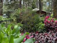 Enchanted Escape at Orchid Forest Cikole