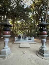 歴史と自然が融合する場所、『鹿島神宮』の魅力⛩️