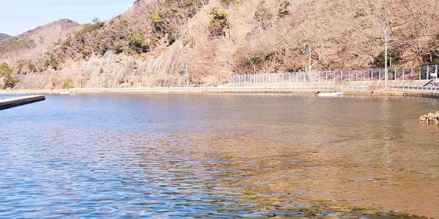 대마도. 나혼자 여행. 트레킹