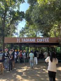 Tad Fane Waterfall : Paksong