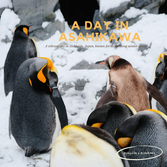 A Days in Asahikawa