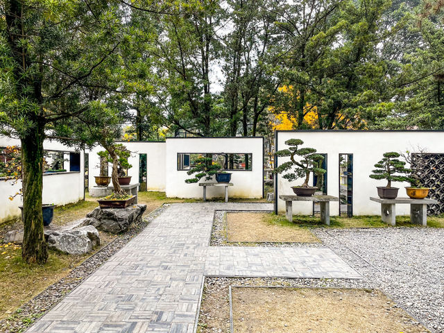 百花潭公園...청두