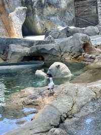 Sea World