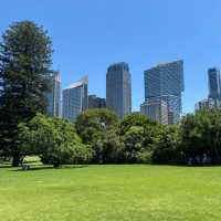 Tranquility in the Heart of Sydney: The Royal Botanic Gardens